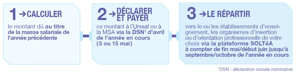 Solde de la taxe d’apprentissage – SOLTéA - net-entreprises.fr